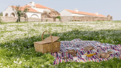 ADEGASÃOLOURENÇODOBARROCAlpicnic