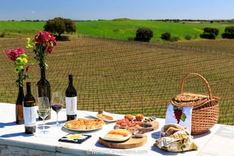 8-day Culture, Wine and Food Tour in the Alentejo Region