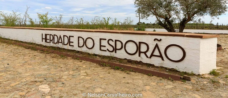 Nelson_Carvalheiro_Alentejo_Wine_Travel_Guide_Herdade_Esporo.jpg