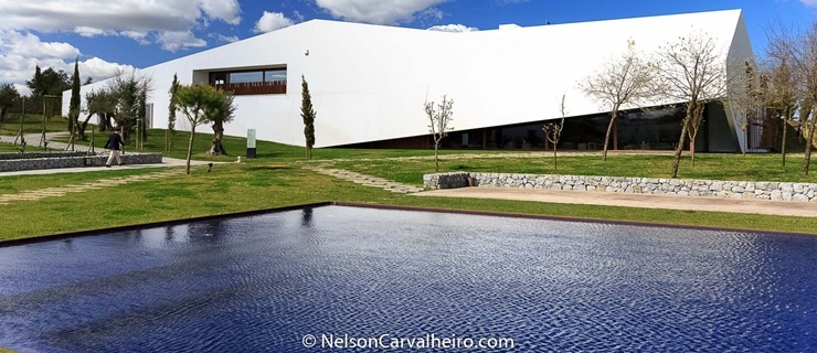 Nelson_Carvalheiro_Alentejo_Wine_Travel_Guide_LAND-13.jpg