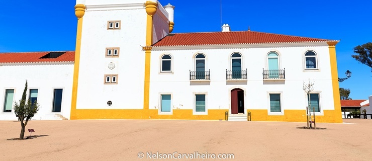 Nelson_Carvalheiro_Alentejo_Wine_Travel_Guide_Torre_Palma.jpg