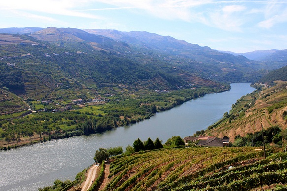 douro-valley-alto-douro-wine-portugal