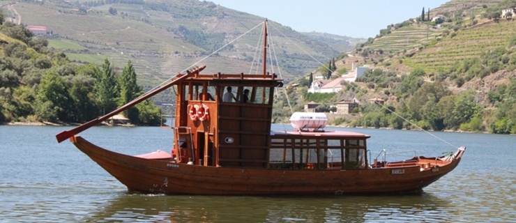Tour in Douro