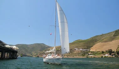 boat-wine-tour-douro-1