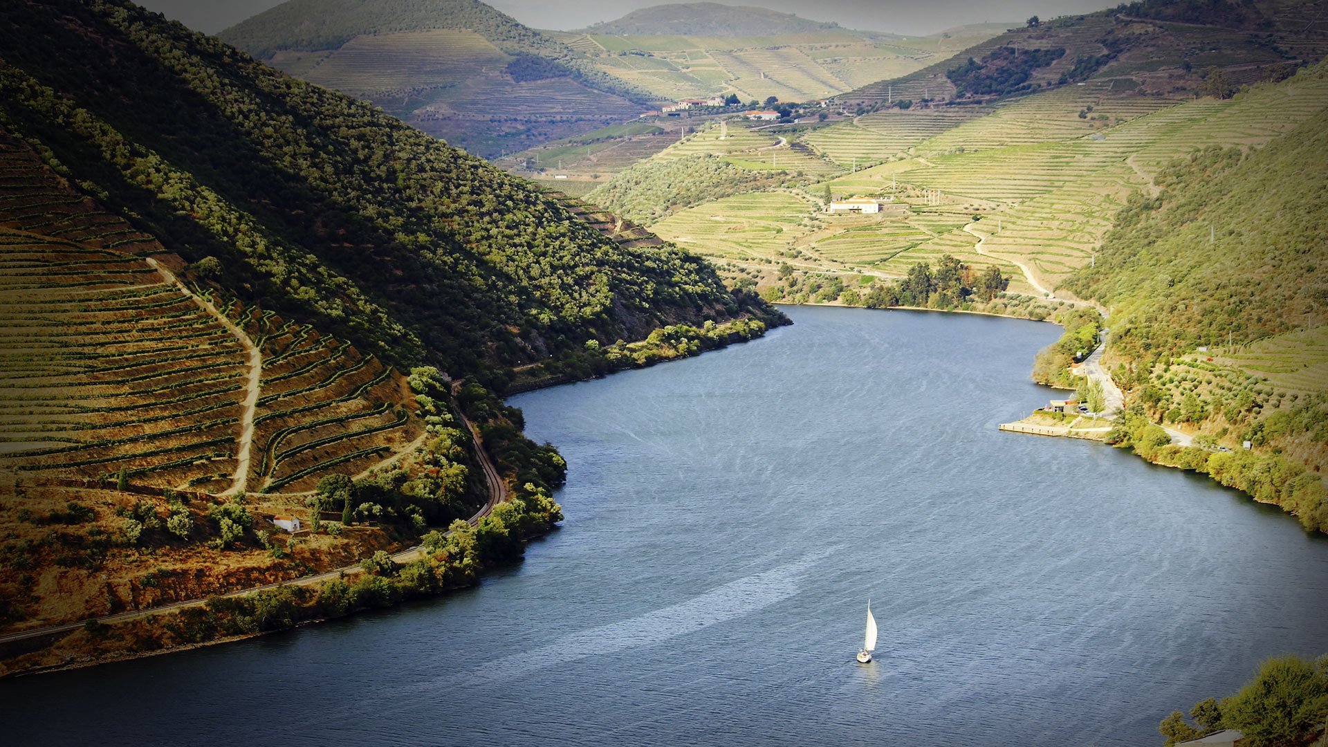 5-Day Tour in Douro with a Sailing Cruise in Douro River