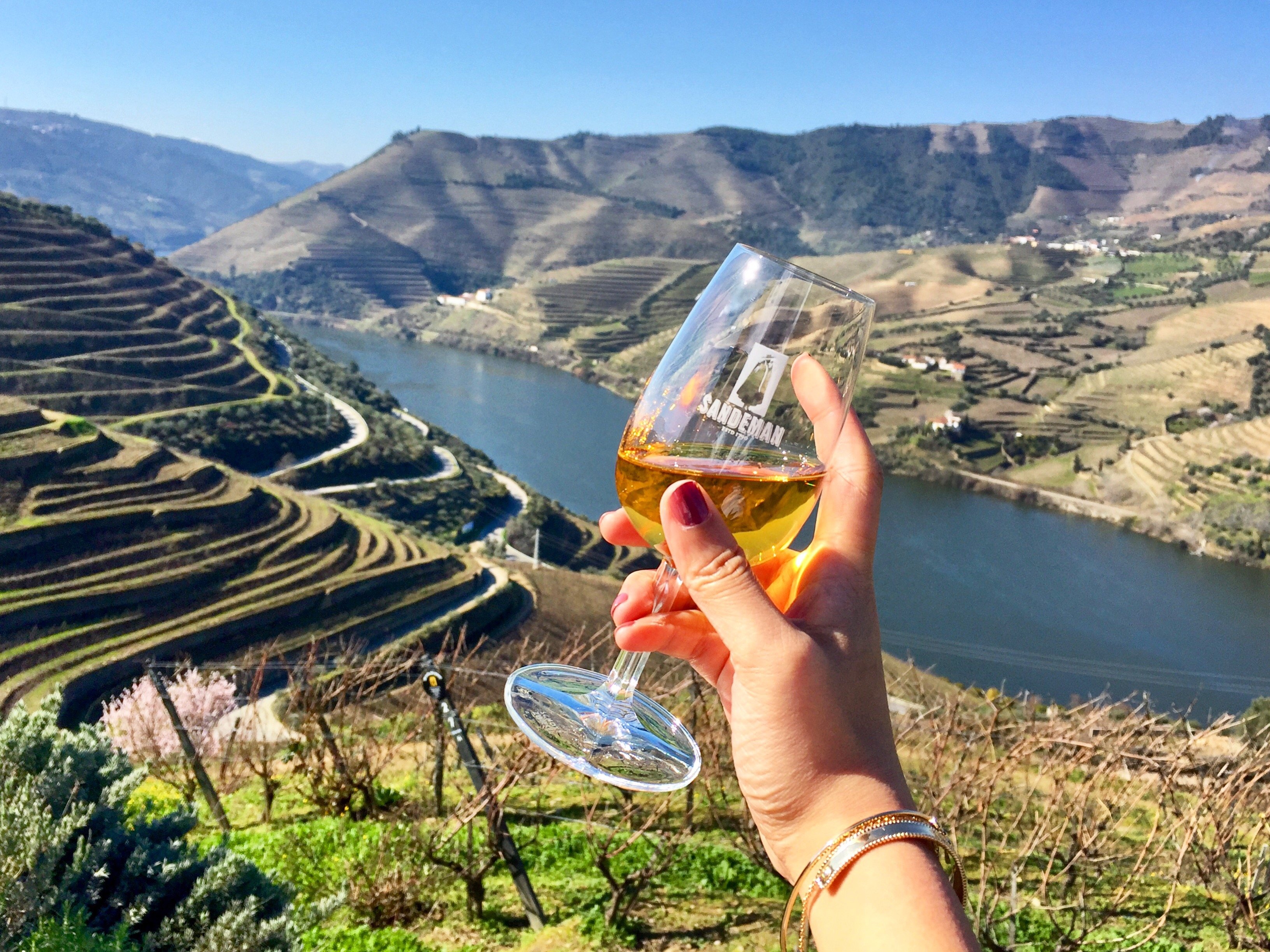 Wine Tour A Day in the Douro Wine Region